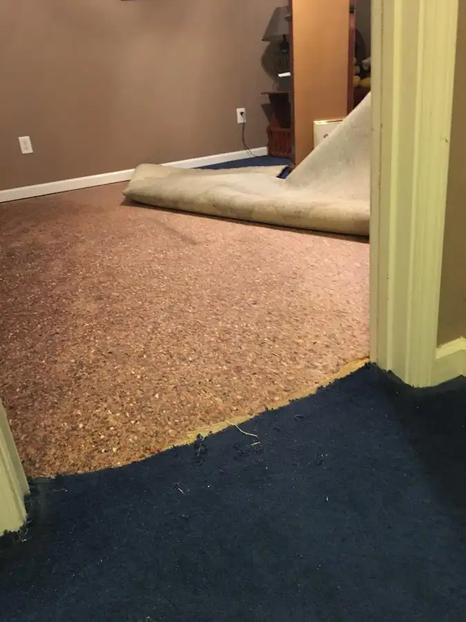 Carpet pad removal revealing water damage during Drying & Dehumidification in Pelham