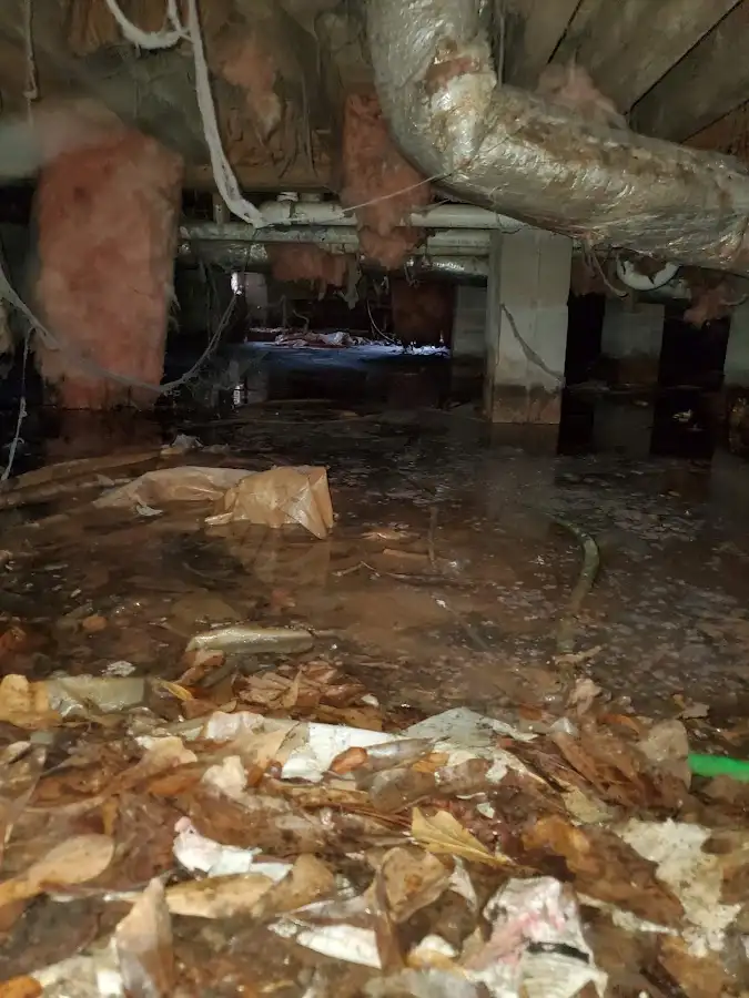 Crawl space flood assessment for Commercial Water Damage Restoration in Pelham