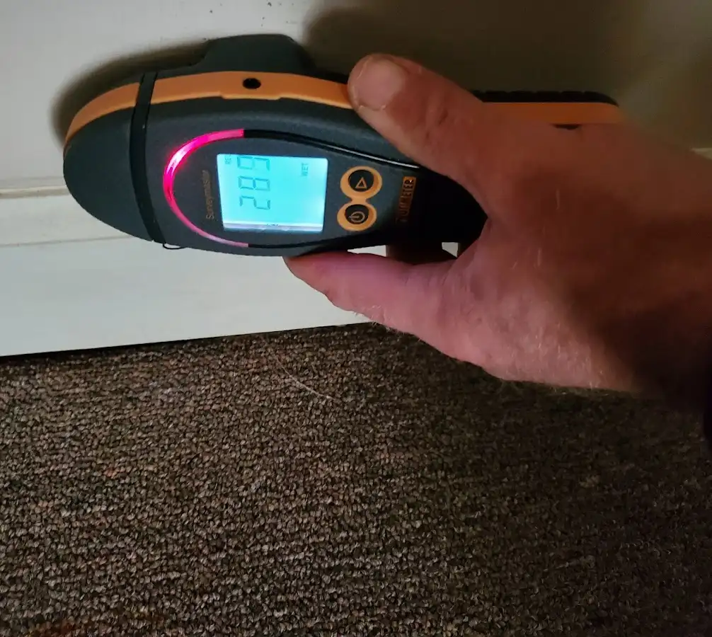 Moisture detection at baseboard during Burst Pipe Cleanup in Pelham